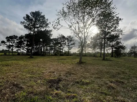 9715 County Road 171 Liverpool TX 77577