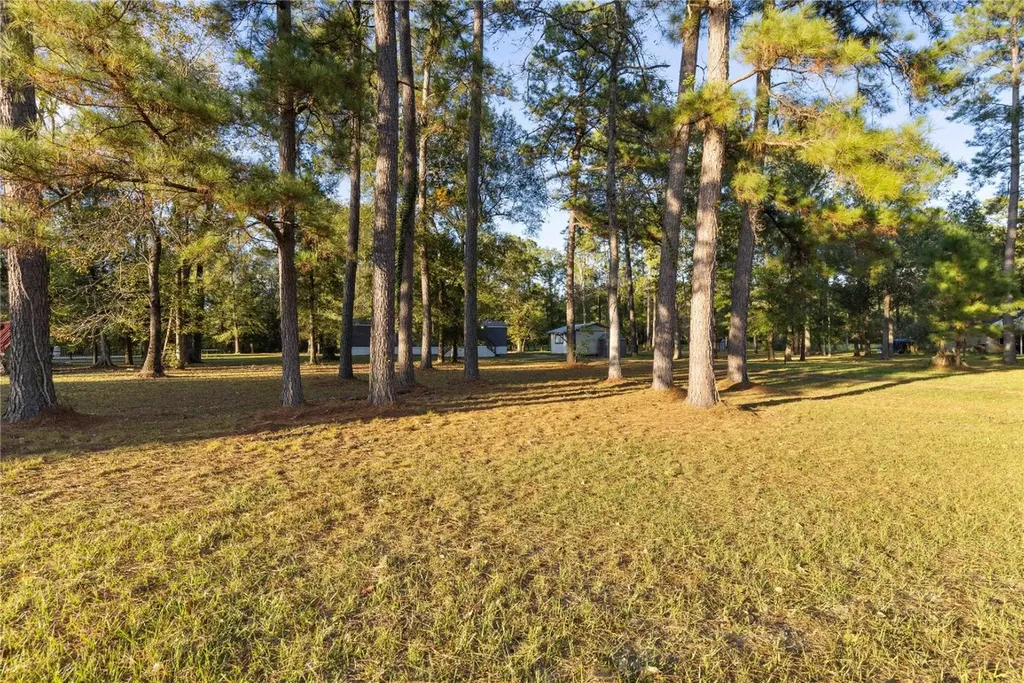 1809 County Road 6479 Dayton TX 77535
