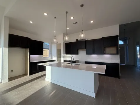1131 Mills Cove Drive Missouri City TX 77459