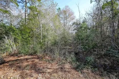 378 County Road 381 Cleveland TX 77328