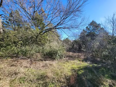 Lots 630 & 631 Shoshone Drive Gordonville TX 76245