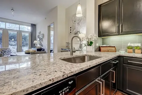 2801 Water Wall Drive B1 Houston TX 77056