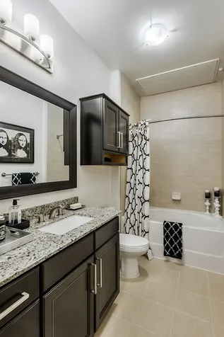 2801 Water Wall Drive B1 Houston TX 77056