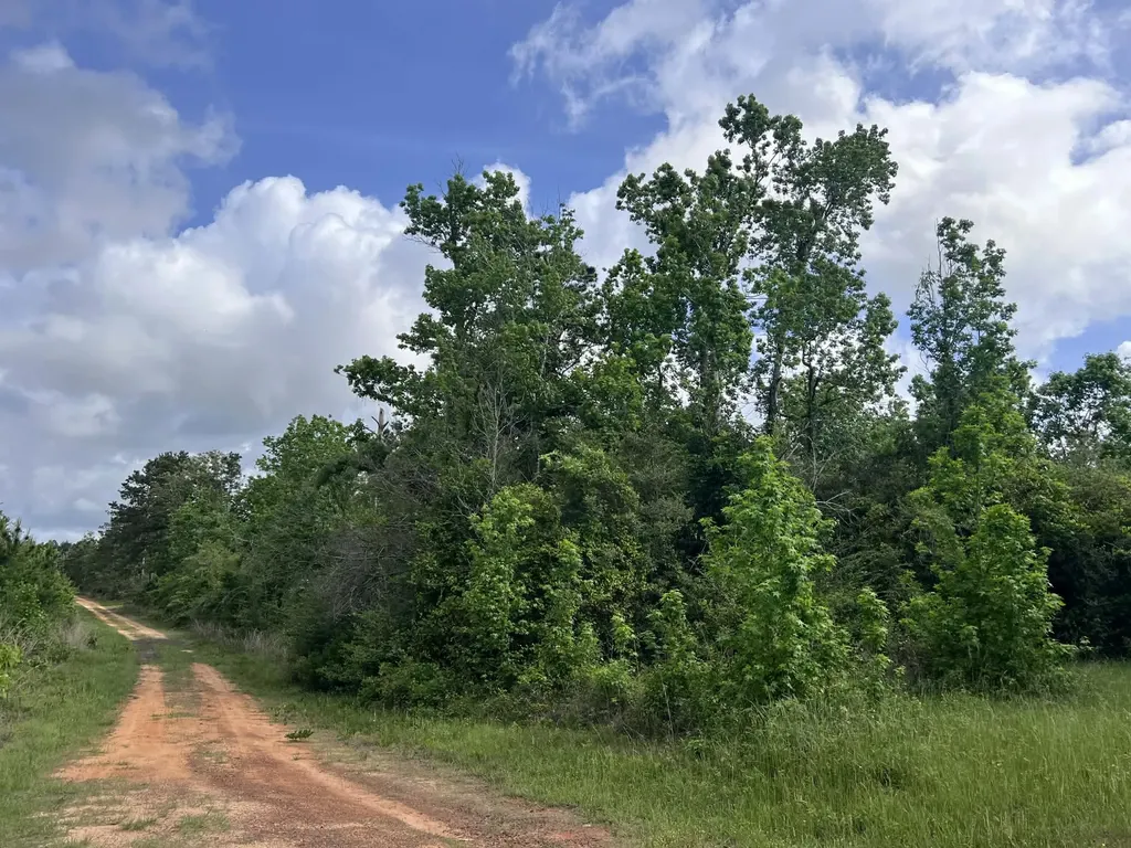000 County Road 2041 Newton TX 75966