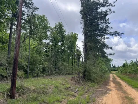 000 County Road 2041 Newton TX 75966