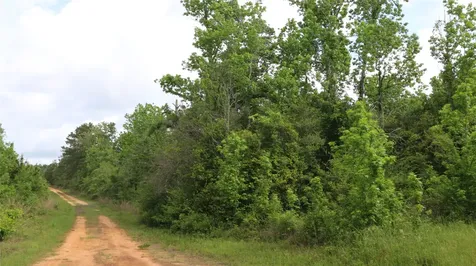 000 County Road 2041 Newton TX 75966