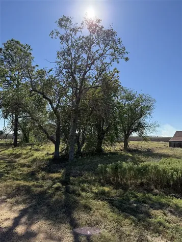 Tbd Lot 4 County Road 414 El Campo TX 77437