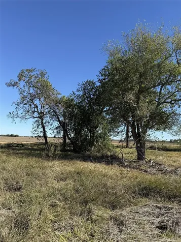 Tbd Lot 4 County Road 414 El Campo TX 77437