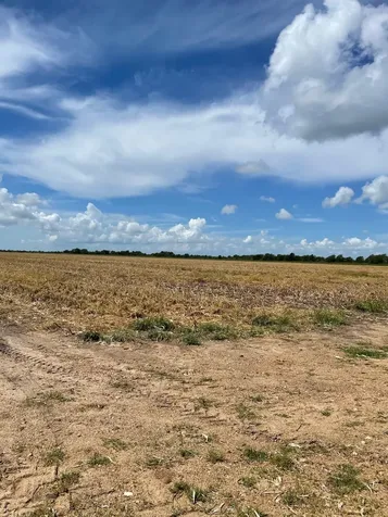 Tbd Lot 4 County Road 414 El Campo TX 77437