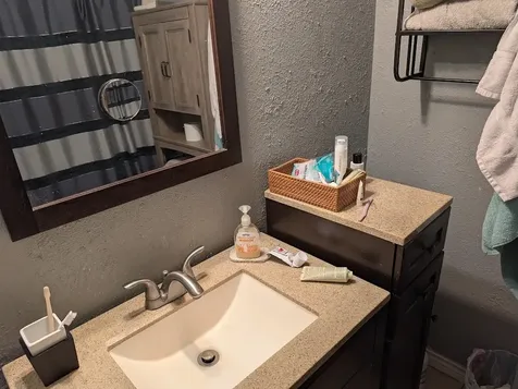 9830 Thistle Trail Drive Houston TX 77070