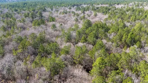 0 Whispering Pines Drive Lumberton TX 77657