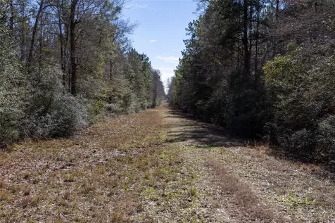 0 Whispering Pines Drive Lumberton TX 77657