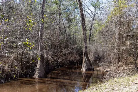 0 Whispering Pines Drive Lumberton TX 77657