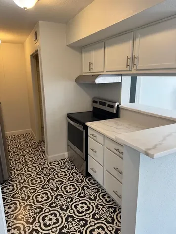 10603 S Wilcrest Drive 35 Houston TX 77099