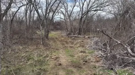 256 Greasy Bend Smithville TX 78957