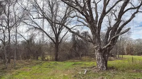 256 Greasy Bend Smithville TX 78957