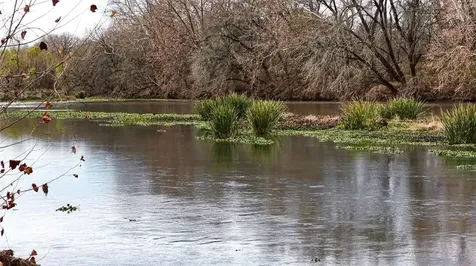 256 Greasy Bend Smithville TX 78957