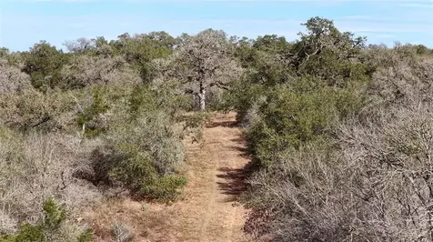 256 Greasy Bend Smithville TX 78957