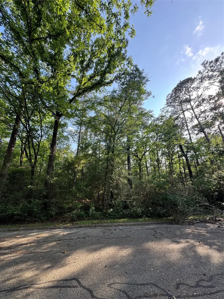 Sioux Court Huntsville TX 77320