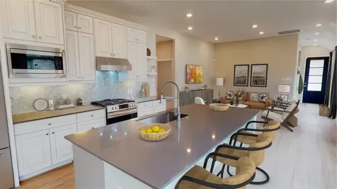 27022 Turtle Vista Drive Katy TX 77493