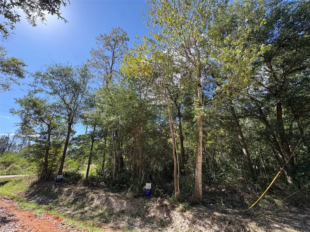 Lot 244 Mehringer Road Shepherd TX 77371