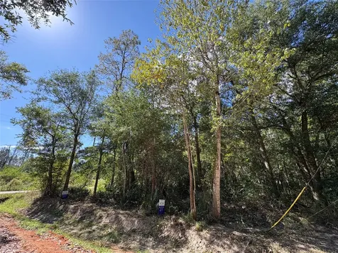 Lot 244 Mehringer Road Shepherd TX 77371