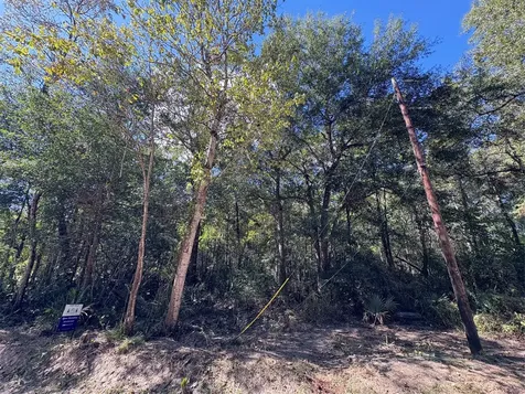 Lot 244 Mehringer Road Shepherd TX 77371