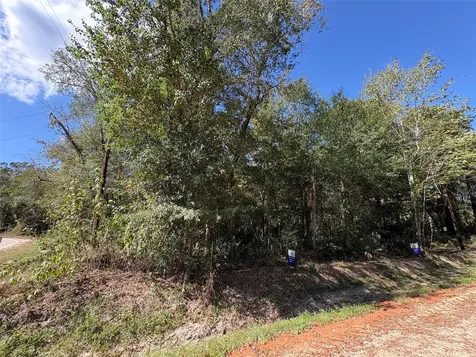Lot 244 Mehringer Road Shepherd TX 77371