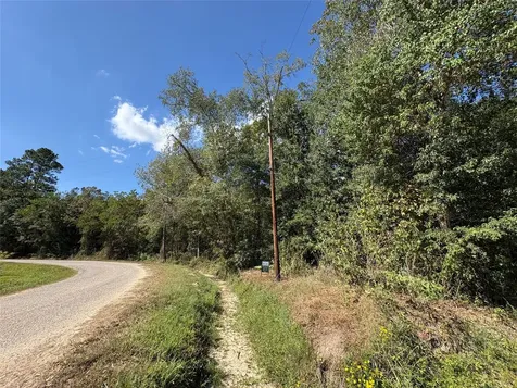 Lot 244 Mehringer Road Shepherd TX 77371