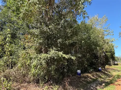 Lot 244 Mehringer Road Shepherd TX 77371