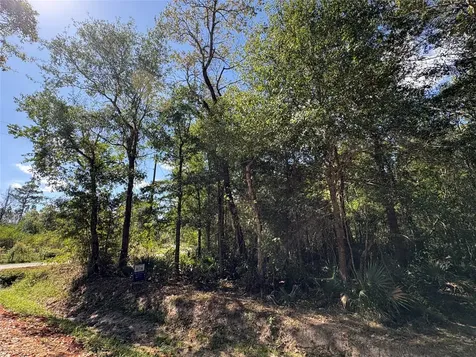 Lot 244 Mehringer Road Shepherd TX 77371