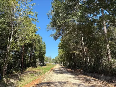 Lot 244 Mehringer Road Shepherd TX 77371