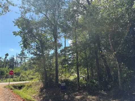Lot 244 Mehringer Road Shepherd TX 77371