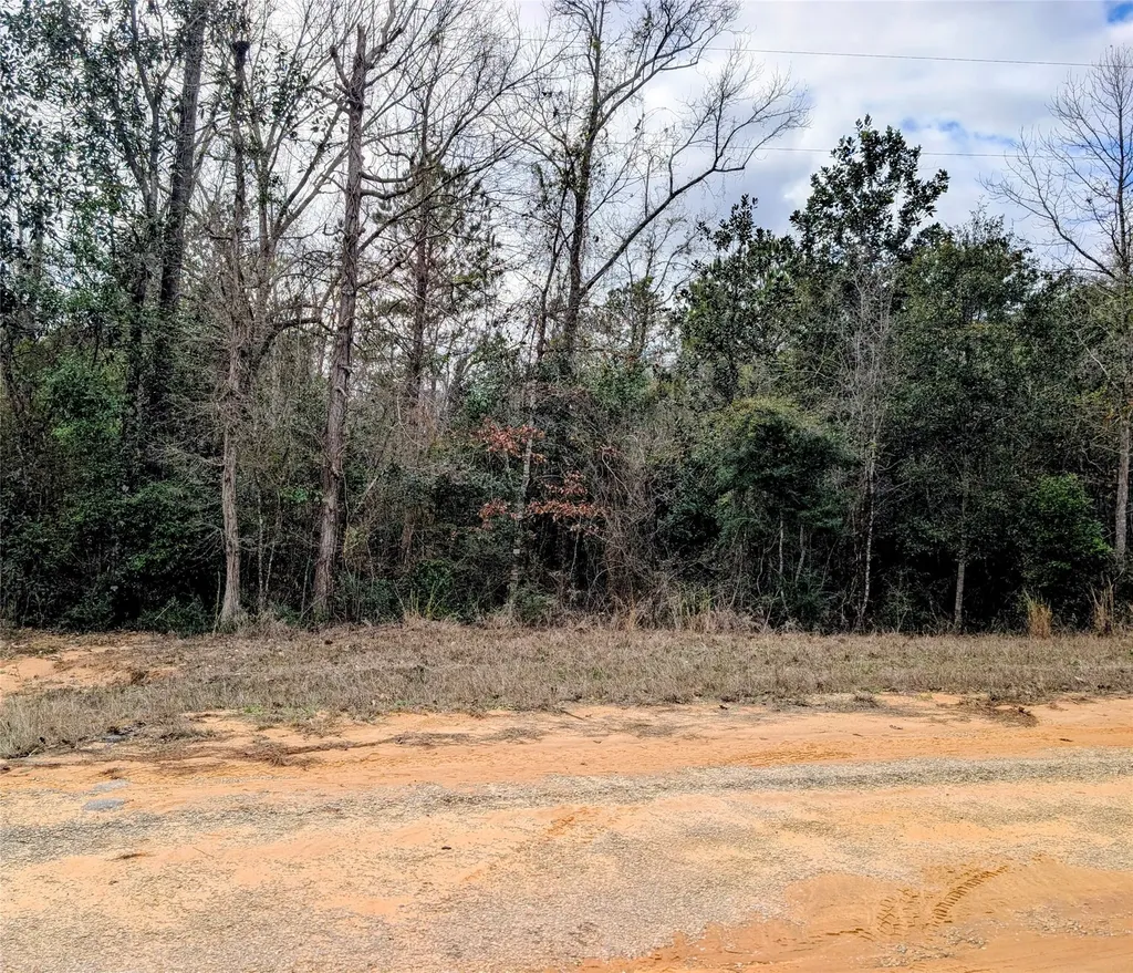 0 Road 2723 Cleveland TX 77327