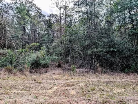 0 Road 2723 Cleveland TX 77327