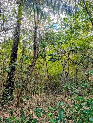 0 Road 2723 Cleveland TX 77327