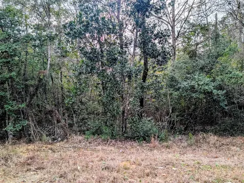 0 Road 2723 Cleveland TX 77327