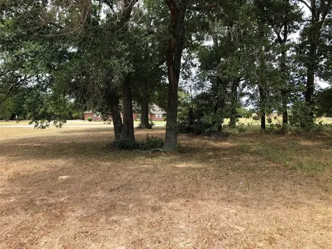 150 Lawrence Marshall Lot 34 Drive Hempstead TX 77445