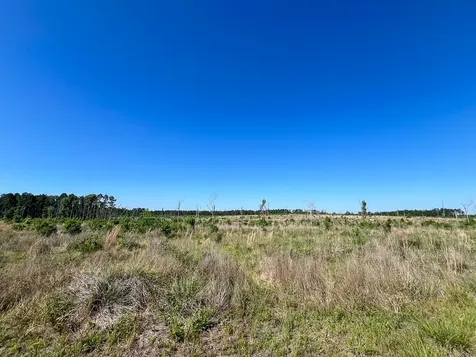 T-1 Fm 355 Eliot Groveton TX 75845