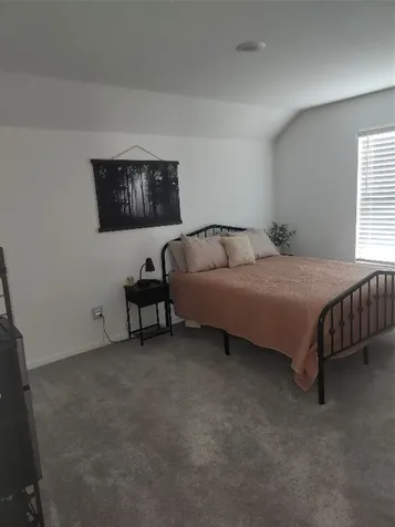 2643 Olivine Stone Drive Rosenberg TX 77469