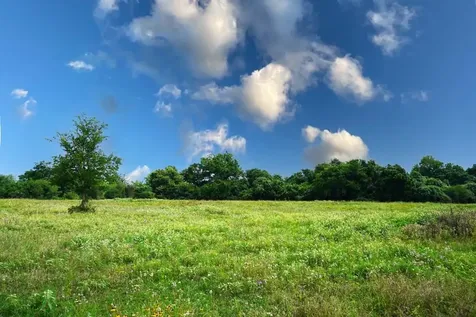 Tbd Holle Lane Washington TX 77880