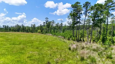 Tbd Cr 1450 Warren TX 77664