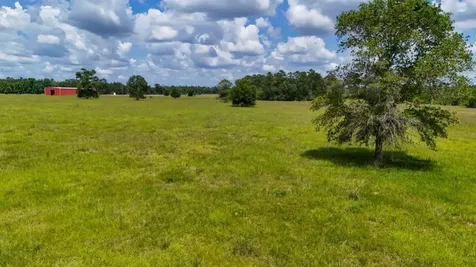 Tbd Cr 1450 Warren TX 77664