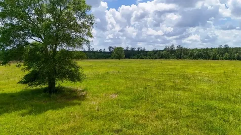 Tbd Cr 1450 Warren TX 77664
