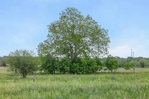 Tbd Bauer Rummel Road Round Top TX 78954