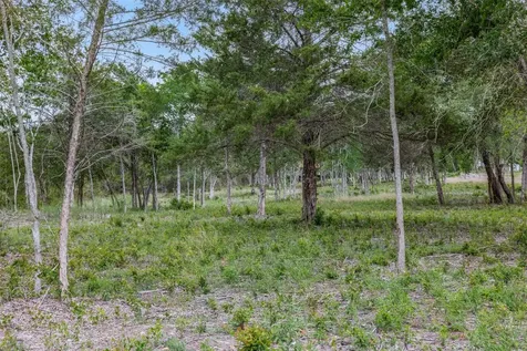 Tbd Bauer Rummel Road Round Top TX 78954