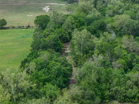 Tbd Bauer Rummel Road Round Top TX 78954