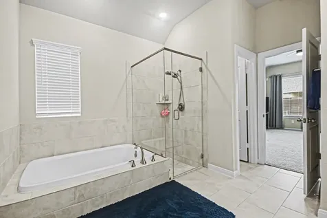 10423 Fig Orchard Trail Manvel TX 77578