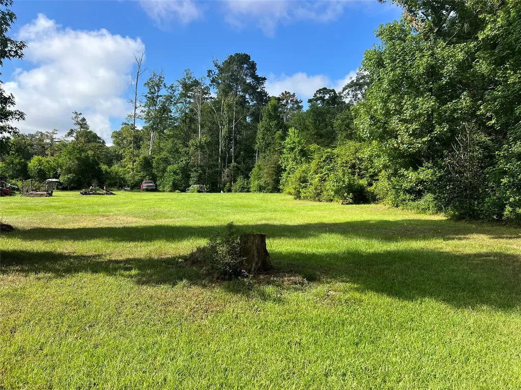 522 Devereaux Trail Livingston TX 77351