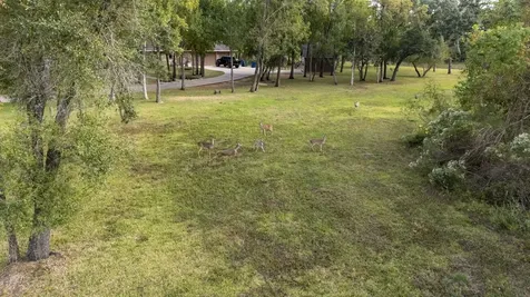 31919 Redfish Trail Richwood TX 77515